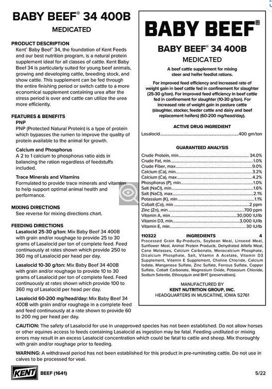 1641 BABY BEEF 34 400B MED.