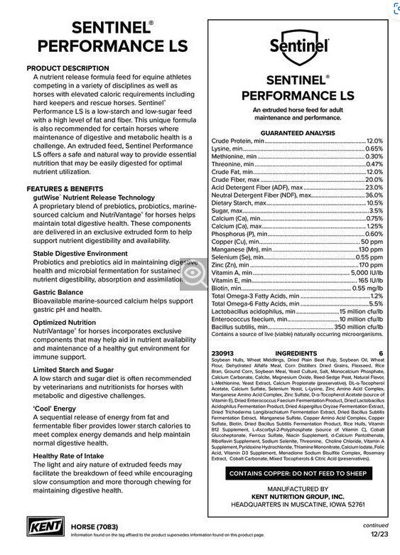 7083 SENTINAL PERFORMANCE LS