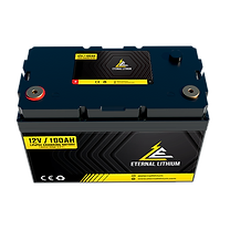12V100Ah Dual Purpose Battery