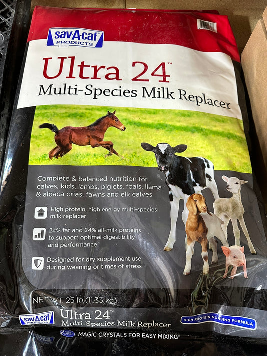 ULTRA 24 MILK REPLACER