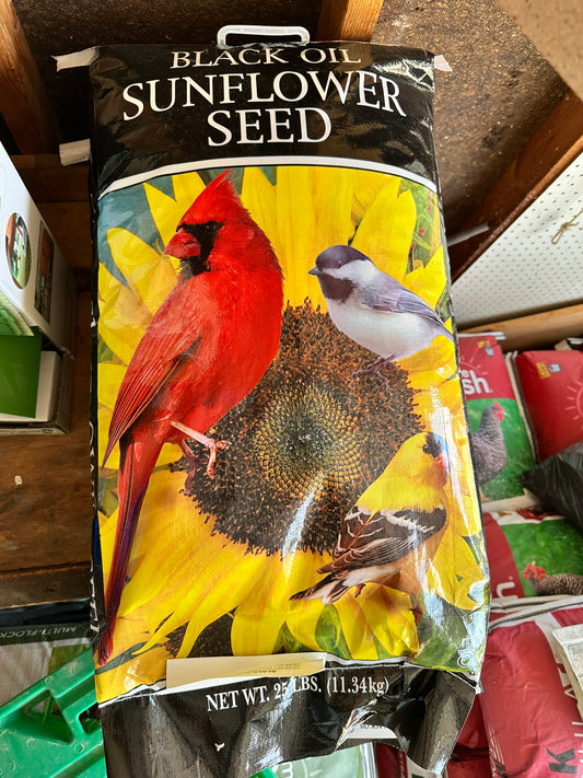 BIRD FEED