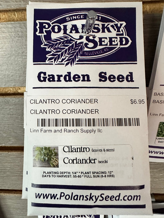 CILANTRO CORIANDER