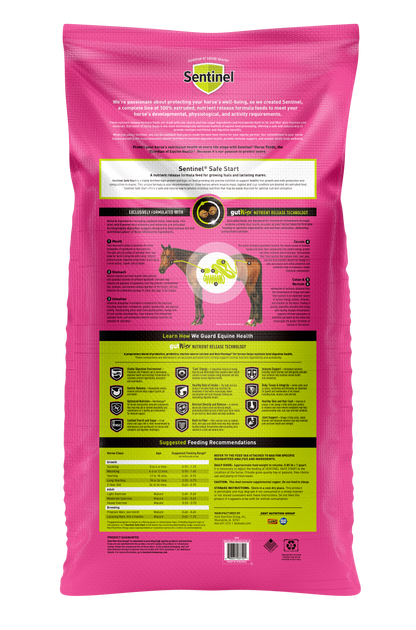 7080 SENTINEL SAFE START