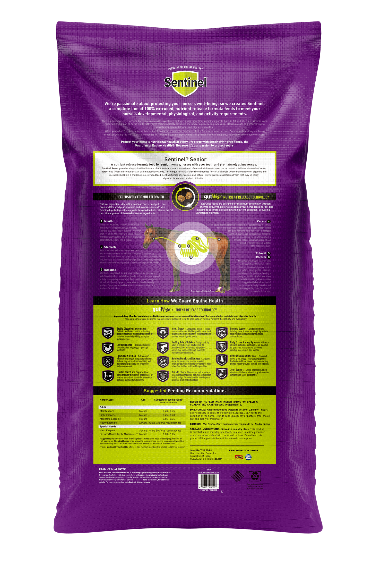 7084 SENTINAL SENIOR