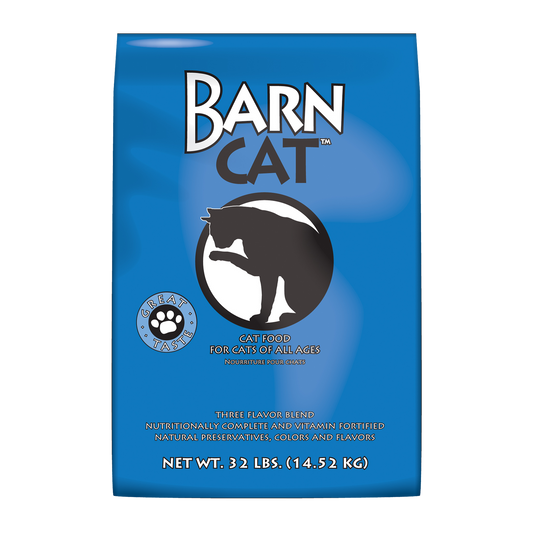 7851 BARN CAT
