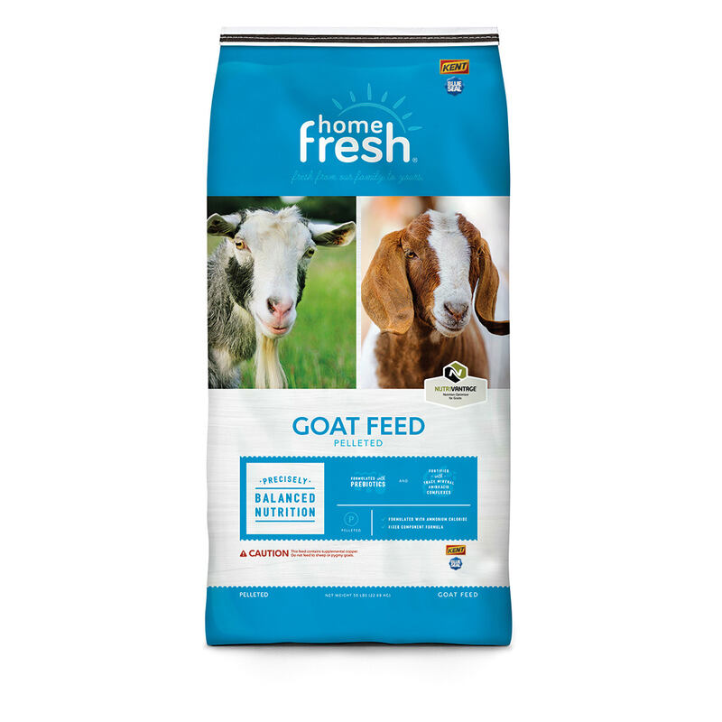6514 GOATED FEED PELLET 16